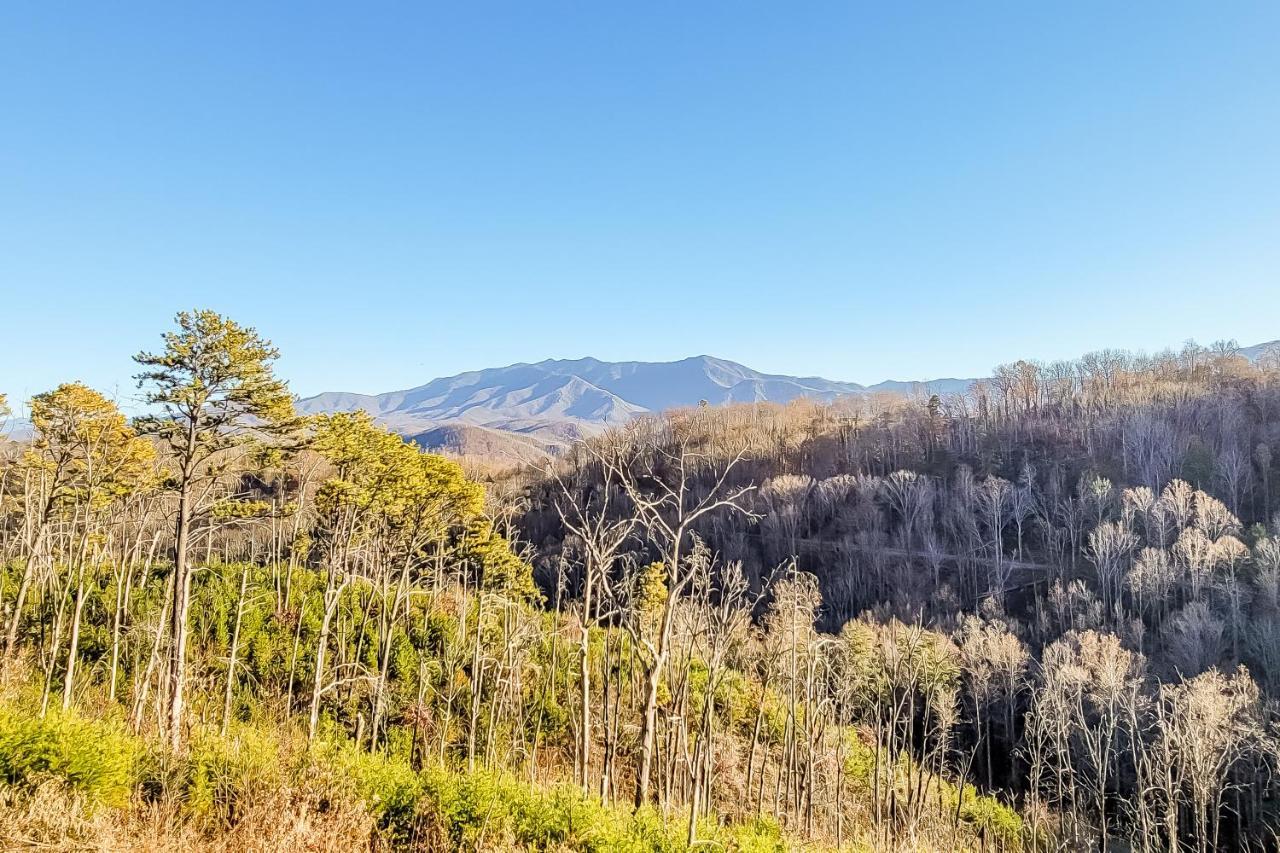 3 Lazy Bears Chalet Gatlinburg Exterior photo