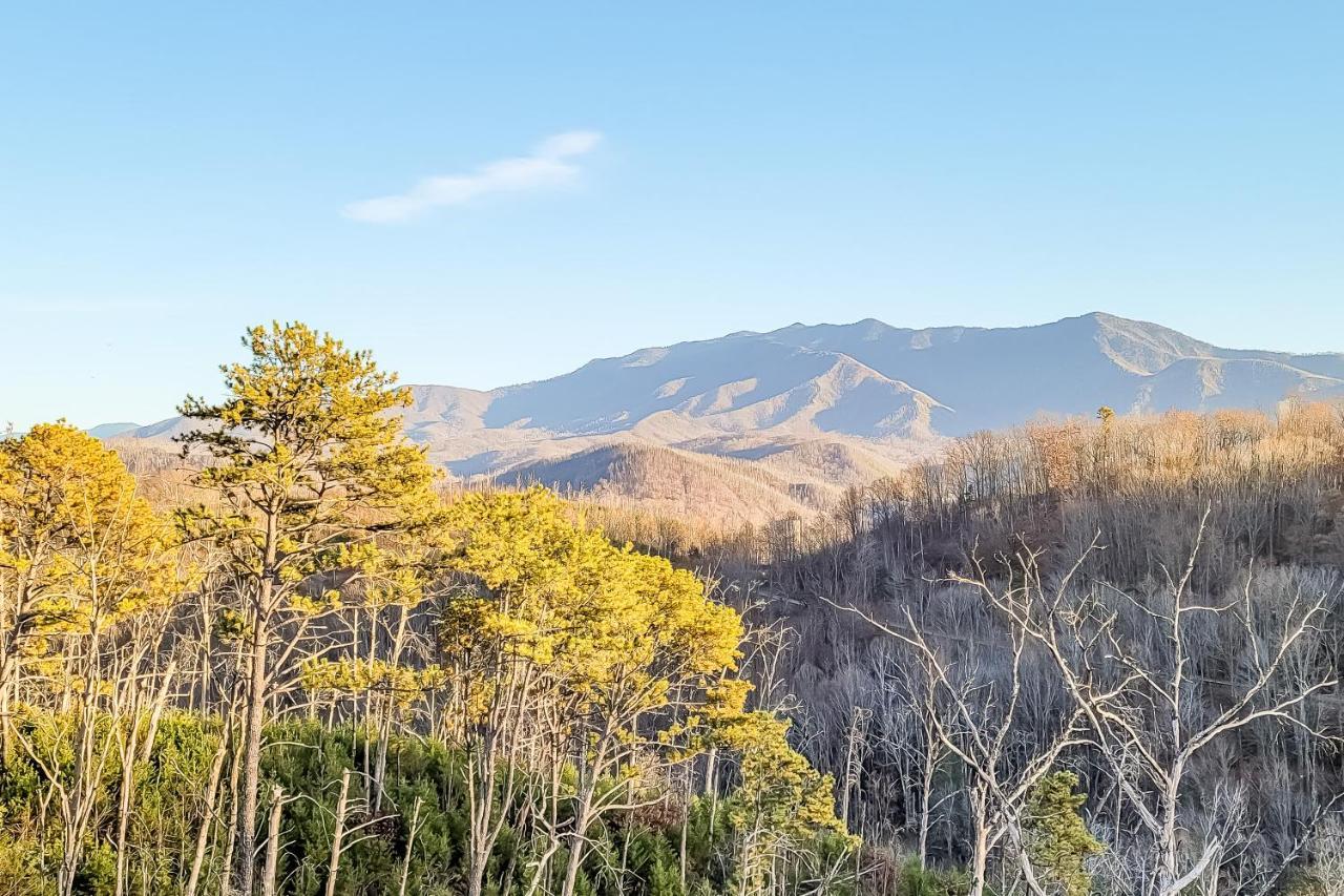 3 Lazy Bears Chalet Gatlinburg Exterior photo
