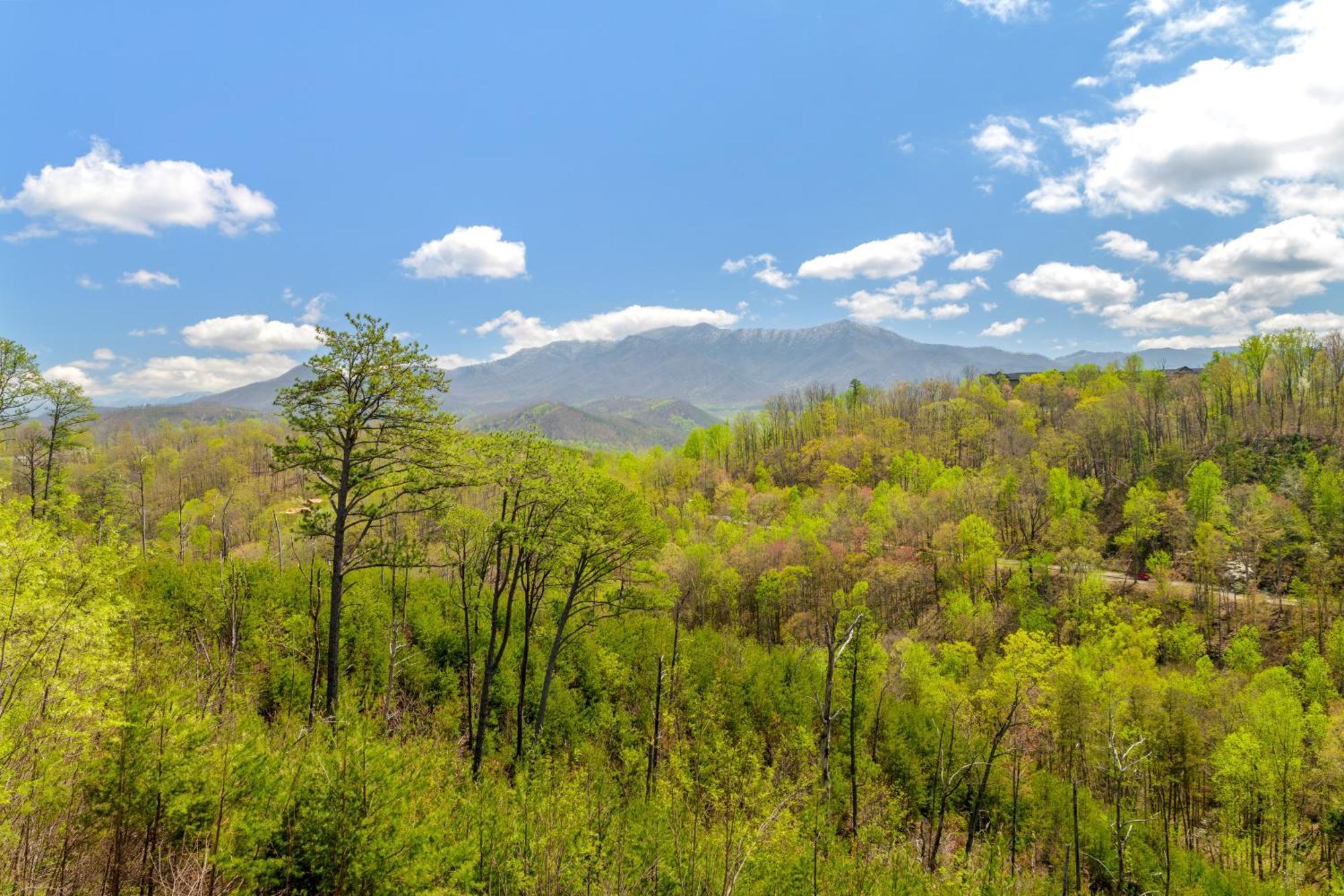 3 Lazy Bears Chalet Gatlinburg Exterior photo